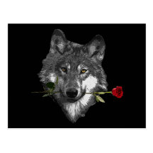 Wolf Rose Postcard