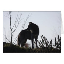 wolf silhouette cards