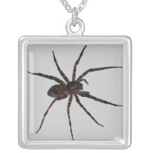 Wolf Spider necklace