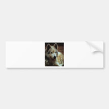 Wolf Spirit Bumper Sticker