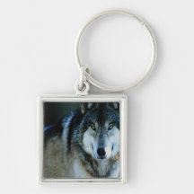 wolf spirit key chains