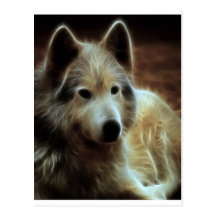 Wolf Spirit Postcard