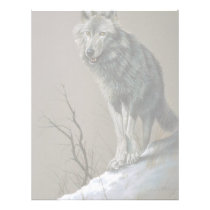Wolf study letterhead