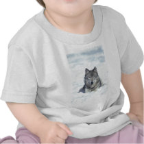 Wolf T-shirts