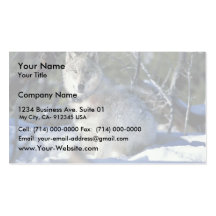 Wolf watches biologists in Yellowstone National Pa Business Card Template