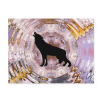 Wolf  Wolves