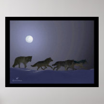 Wolfpack Posters