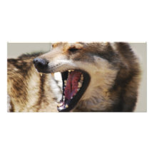 Wolf's Fangs Custom Photo Card
