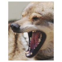Wolf's Fangs Full Color Flyer
