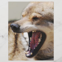 Wolf's Fangs Full Color Flyer