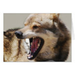 Wolf's Fangs Greeting Card