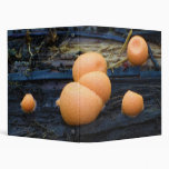 Wolf's Milk Groening's Slime Lycogala Epidendrum Vinyl Binder