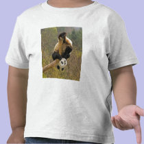 Wolong Panda Reserve, China, 2 1/2 yr old t-shirts