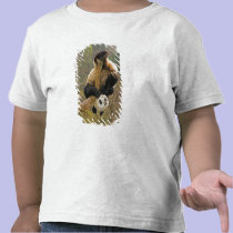 Wolong Panda Reserve, China, 2 1/2 yr old t-shirts
