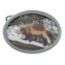 Wolverine Boucles De Ceinture Ovales
