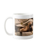 Wolverine mugs