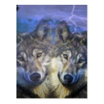 Wolves in the night postcard