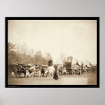 Woman Bullwhacking Oxen SD 1887 Print