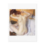 Woman Combing Her Hair postcard