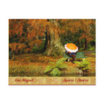 Woman siting with umbrella post cards