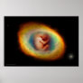 Womb by Gregory Gallo Posters