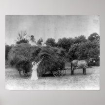 Women Farmers Poster