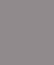 Women's Jersey Short Sleeve T-Shirt Slate Grey