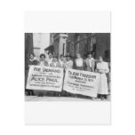 Women's Suffrage Pickets, 1917 Postcard