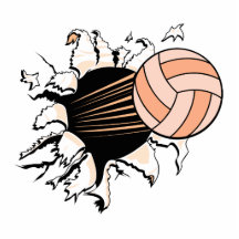 womens volleyball ripping through cut outs