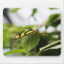 wonder of green mousepads