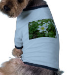 Wood Anemone Anemone Nemoro Pet Tee Shirt