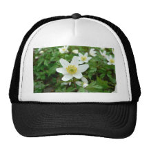 Wood Anemone Anemone Nemoro Trucker Hats