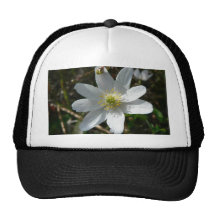 Wood Anemone Flower Mesh Hat