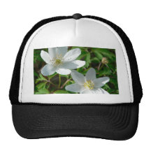 Wood Anemone In The Grass Mesh Hats