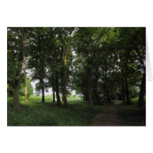 Wood, Bute Park Cardiff