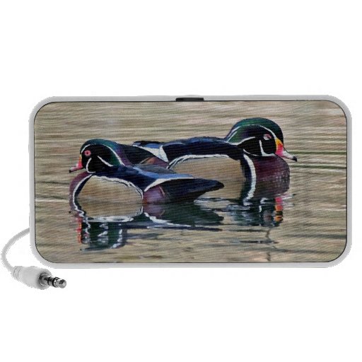 Wood Duck Birds OrigAudio Doodle Speaker