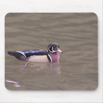 Wood Duck Mouse Pad