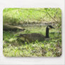 WOOD DUCK MOUSE PADS