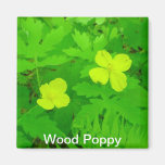 Wood Poppy Magnet
