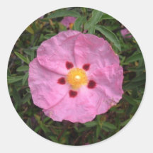 Wood Rose Stickers
