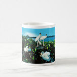 Wood Stork Chicks Coffee Mugs