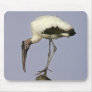 Wood Stork Mouse Mats