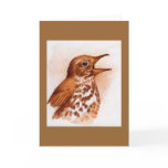 Wood Thrush -bird Note Card