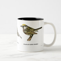 Wood Warblers Mugs