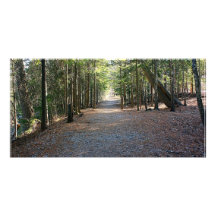 Wooded Trail Custom Photo Card