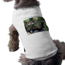 Wooden bridge over the water doggie tee shirt