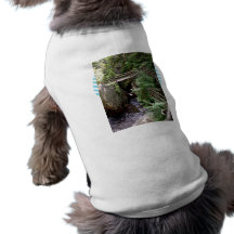 Wooden bridge over the water pet shirt