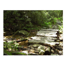Wooden Bridge Postcard