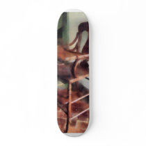 Wooden High Chair Skate Boards