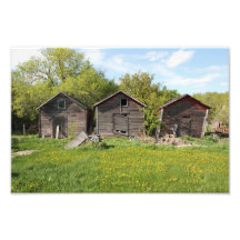 Wooden History Photograph
